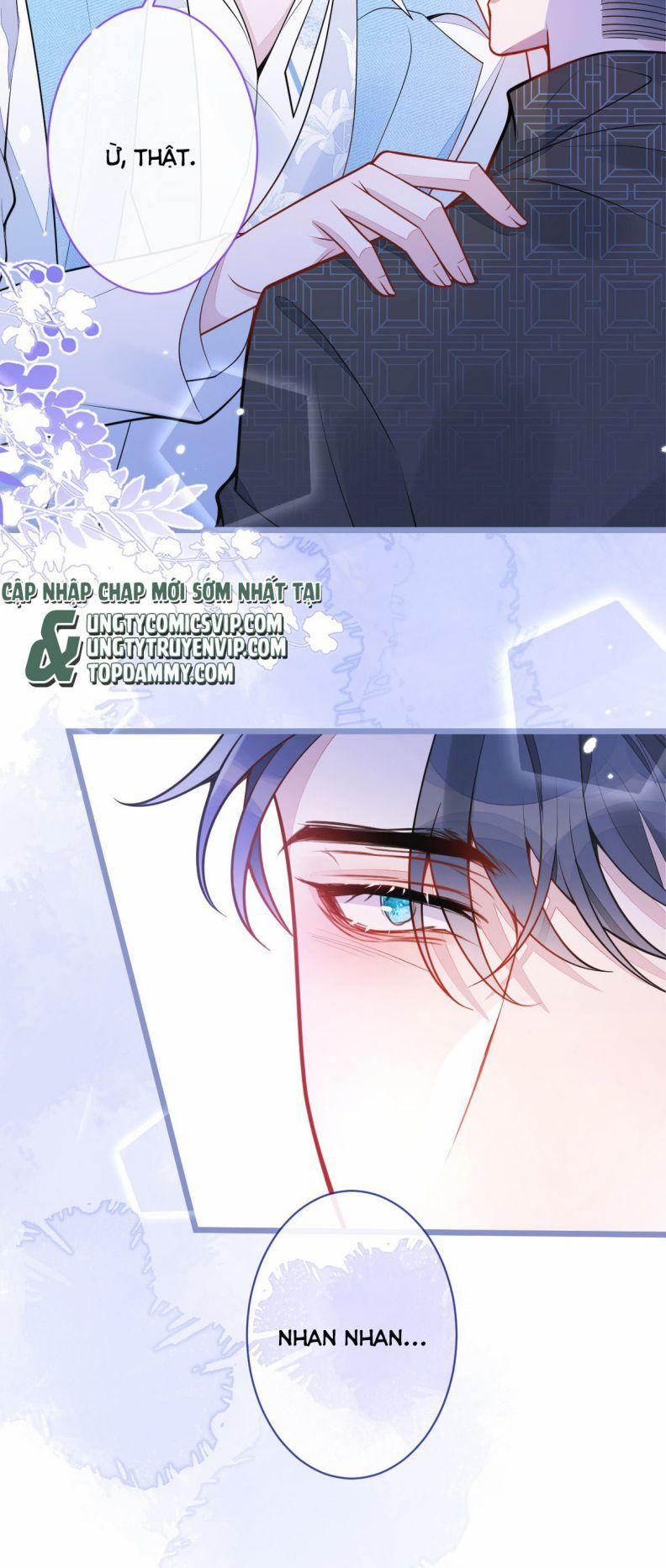 Báo Ân Của Sói 11 trang 6