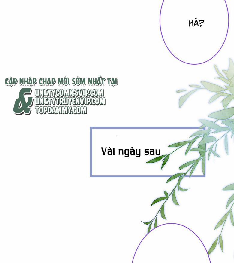 Báo Ân Của Sói 13 trang 36