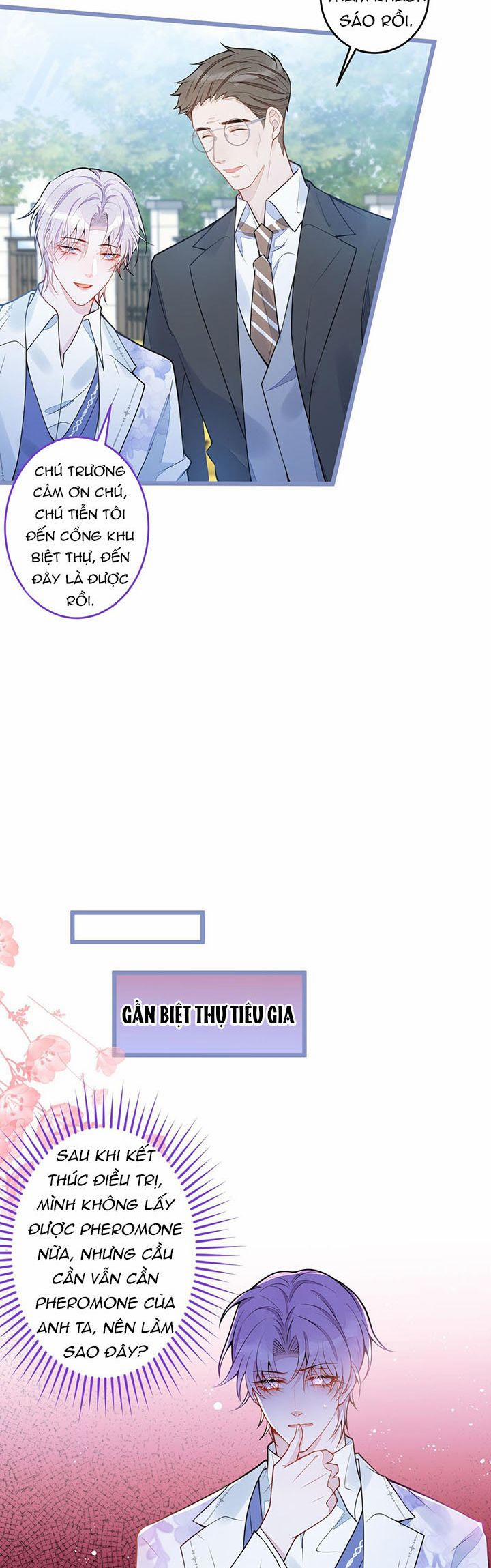 Báo Ân Của Sói 29 trang 14