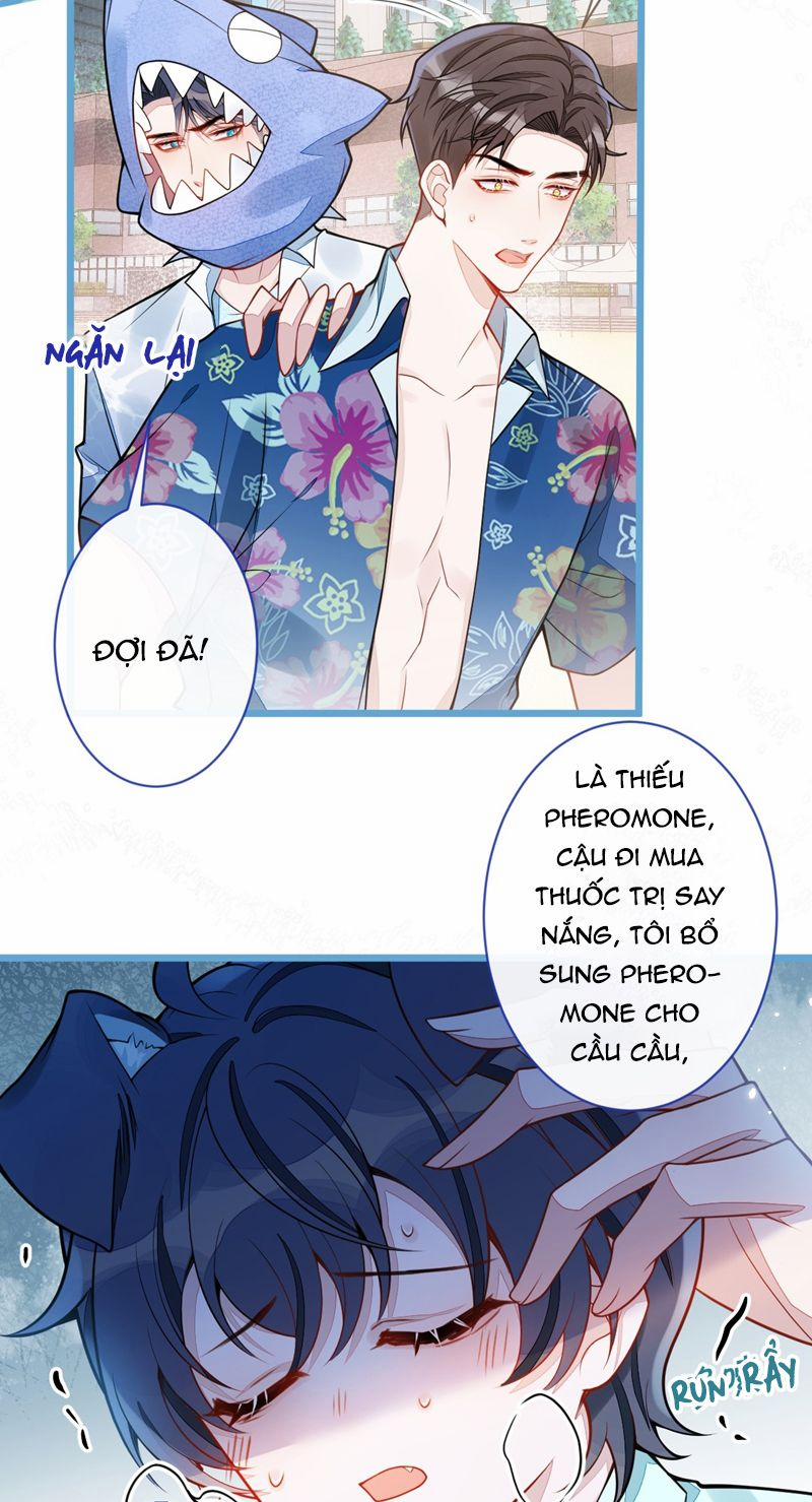 Báo Ân Của Sói 32 trang 24