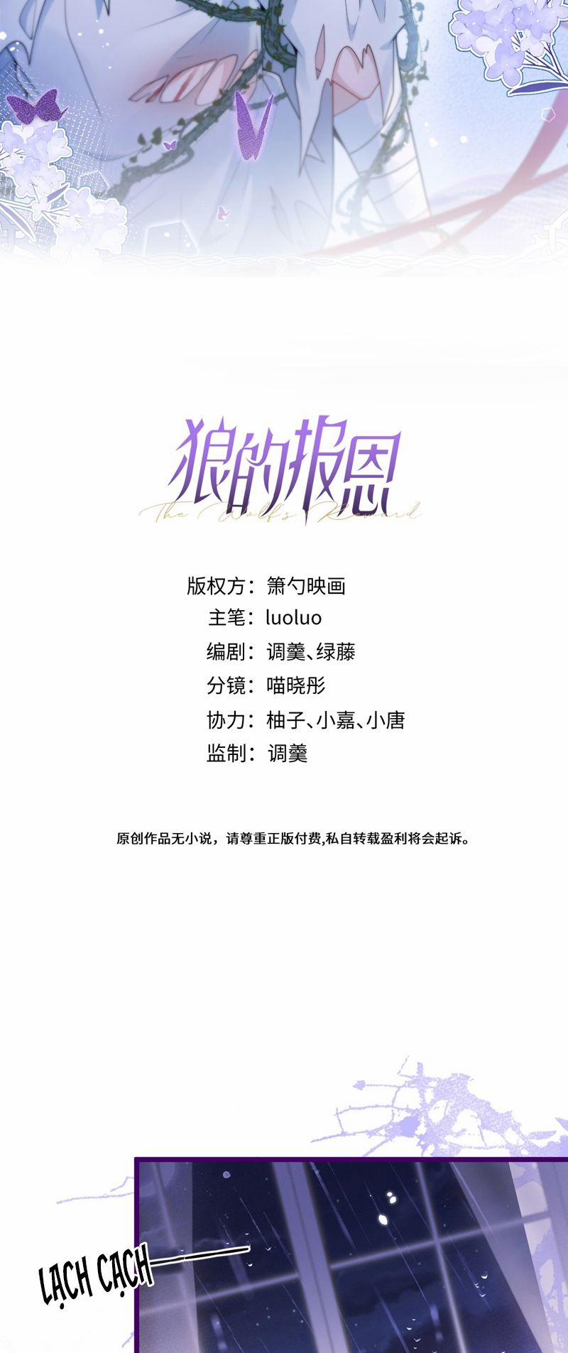 Báo Ân Của Sói 41 trang 1