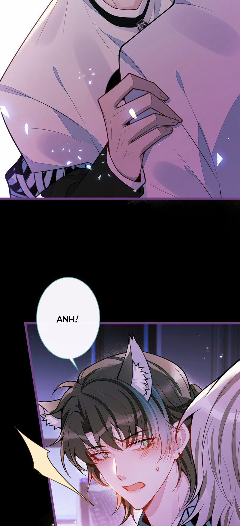 Báo Ân Của Sói 44 trang 12