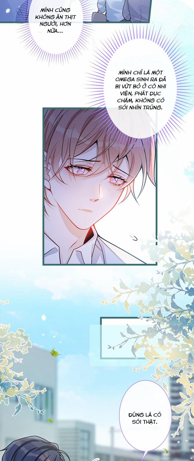 Báo Ân Của Sói 48 trang 24