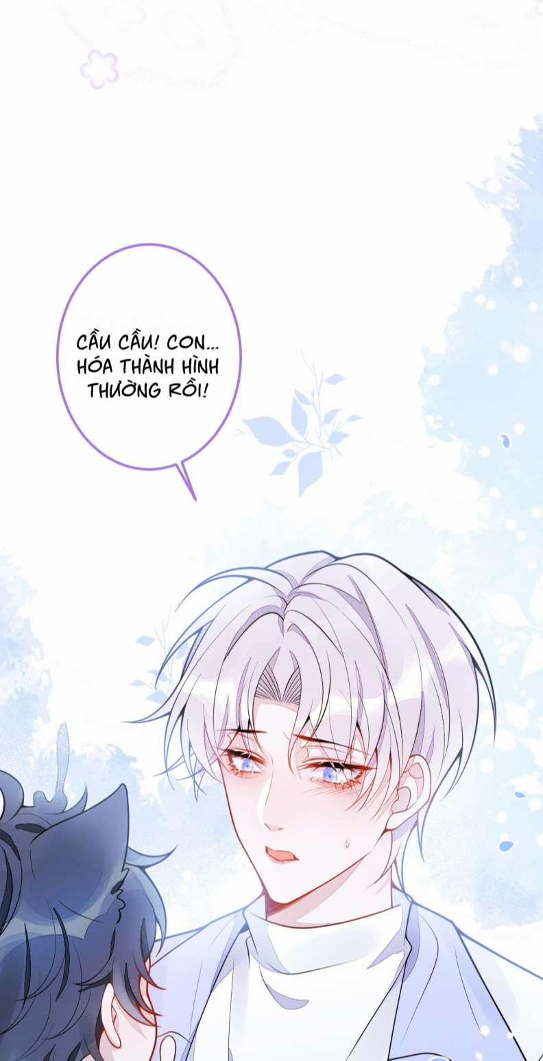 Báo Ân Của Sói 5 trang 19