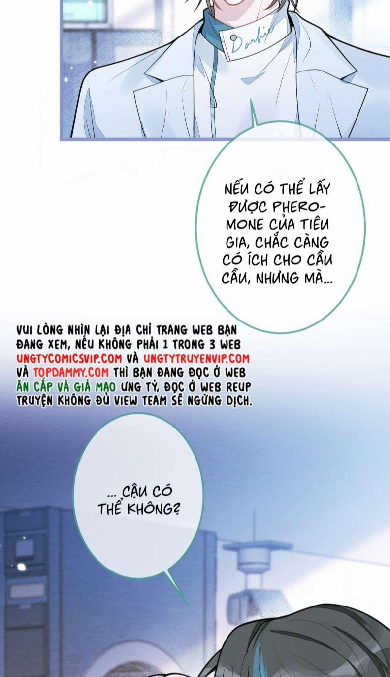 Báo Ân Của Sói 5 trang 25