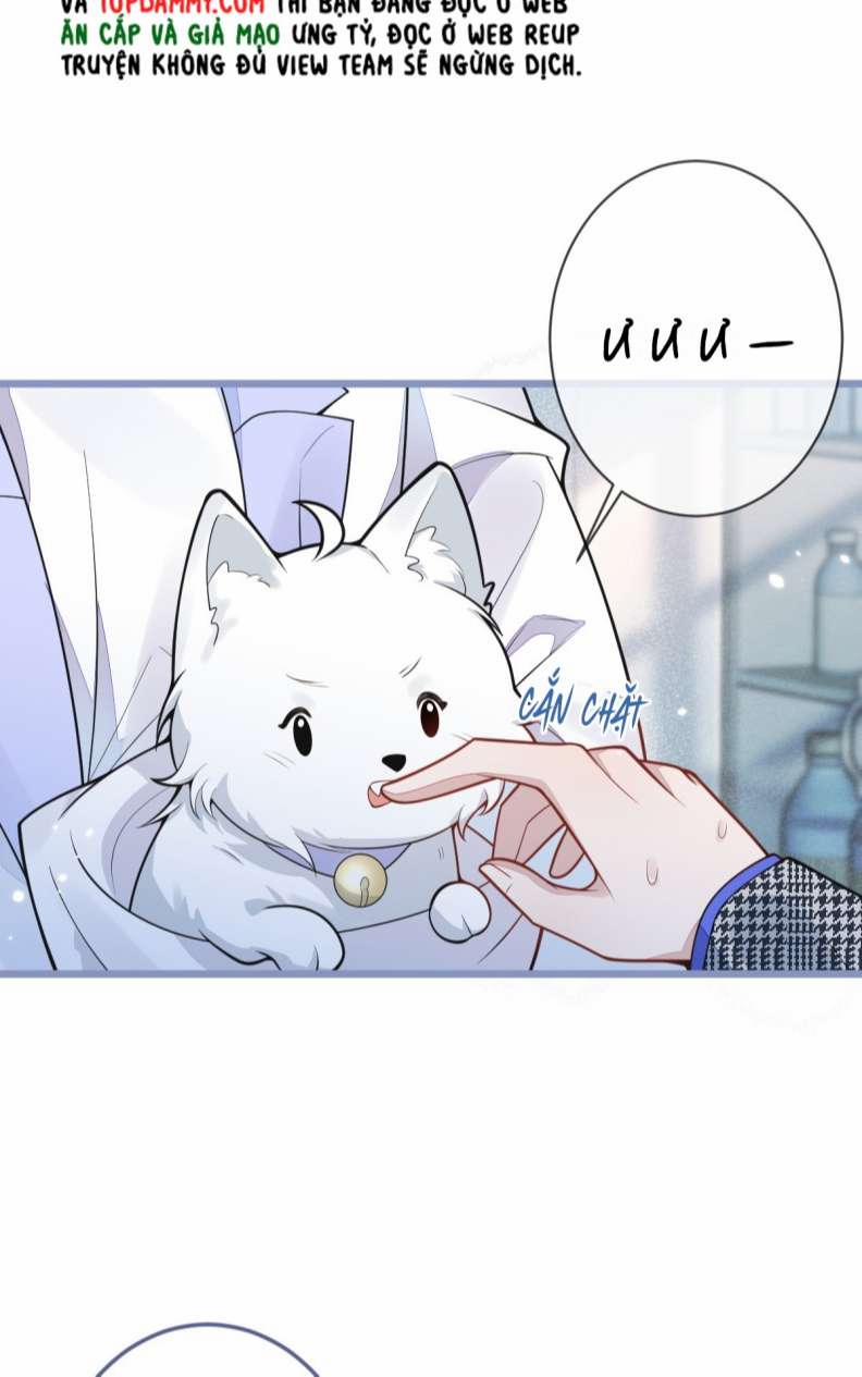 Báo Ân Của Sói 5 trang 4