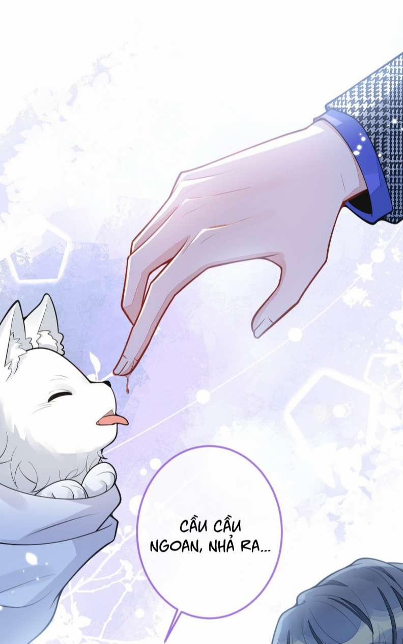 Báo Ân Của Sói 5 trang 6