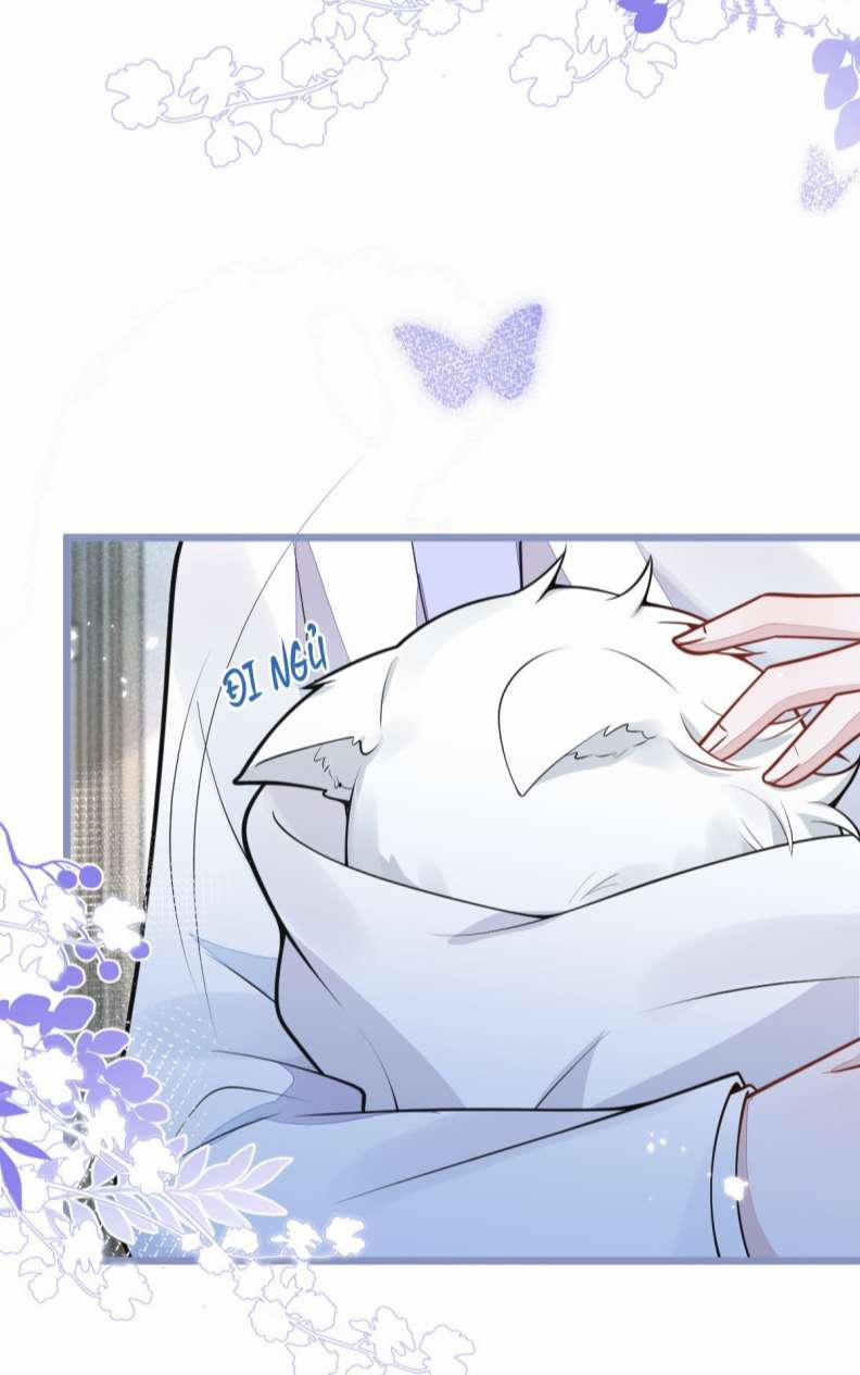 Báo Ân Của Sói 5 trang 8