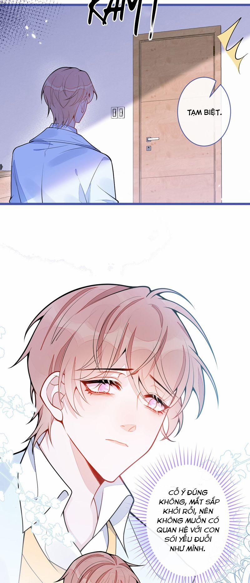 Báo Ân Của Sói 50 trang 12