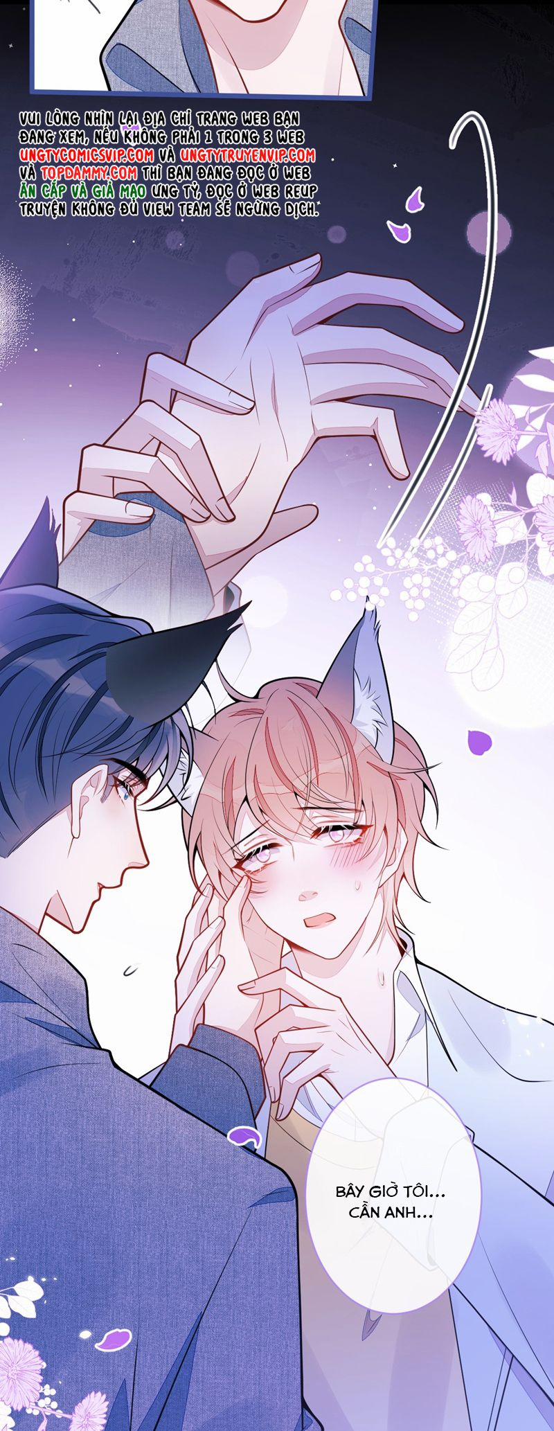 Báo Ân Của Sói 50 trang 24