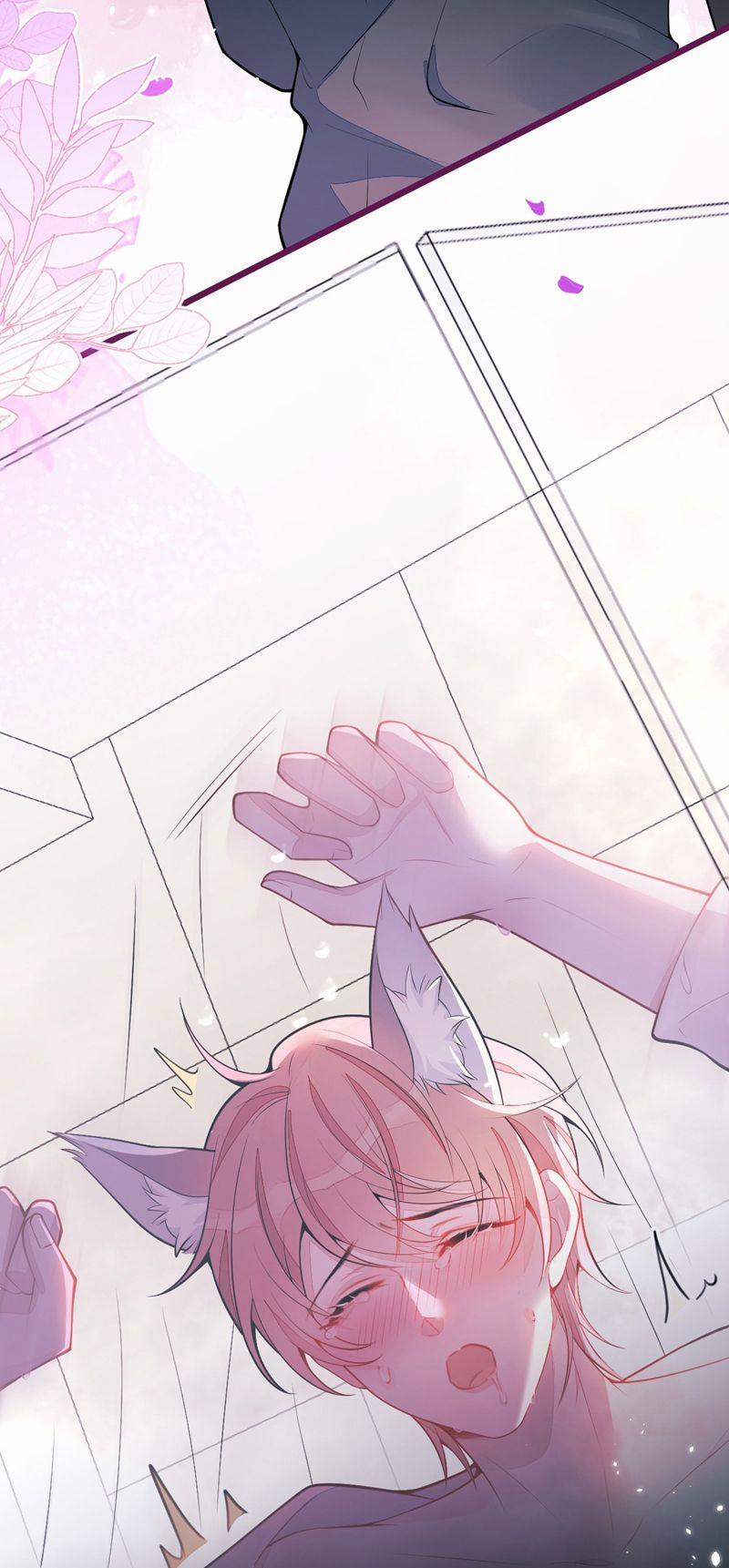 Báo Ân Của Sói 50 trang 28