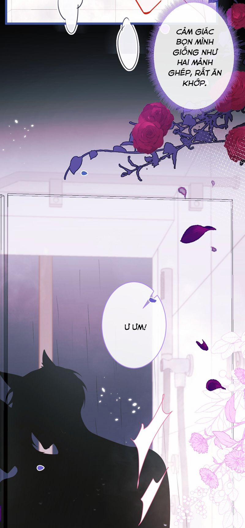 Báo Ân Của Sói 50 trang 31