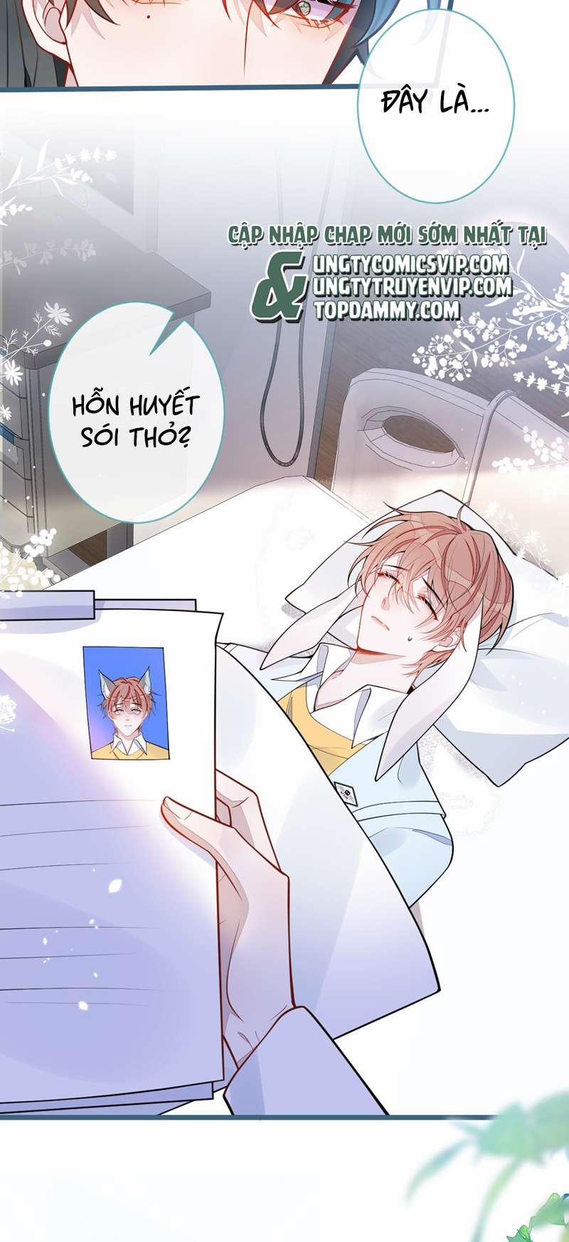 Báo Ân Của Sói 51 trang 21