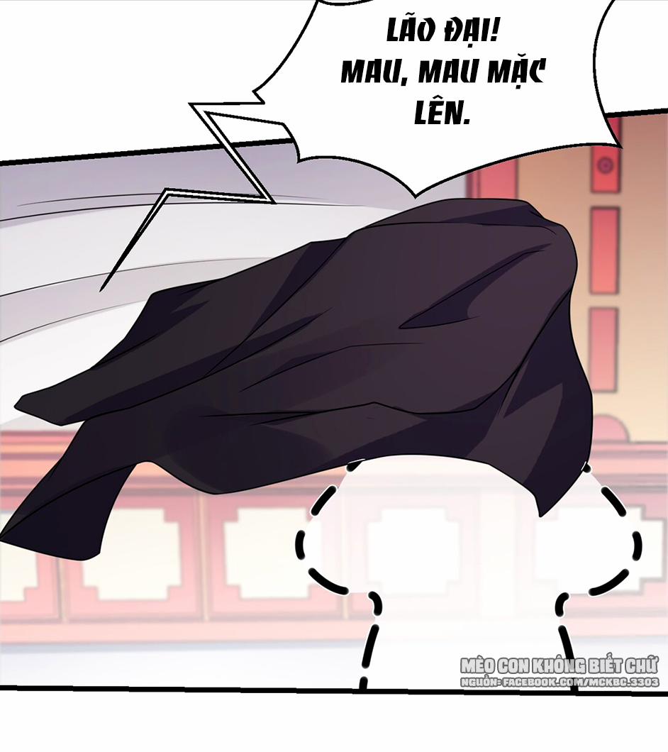 Báo Cáo! Đế Quân Ngài Có Độc! 1 trang 26