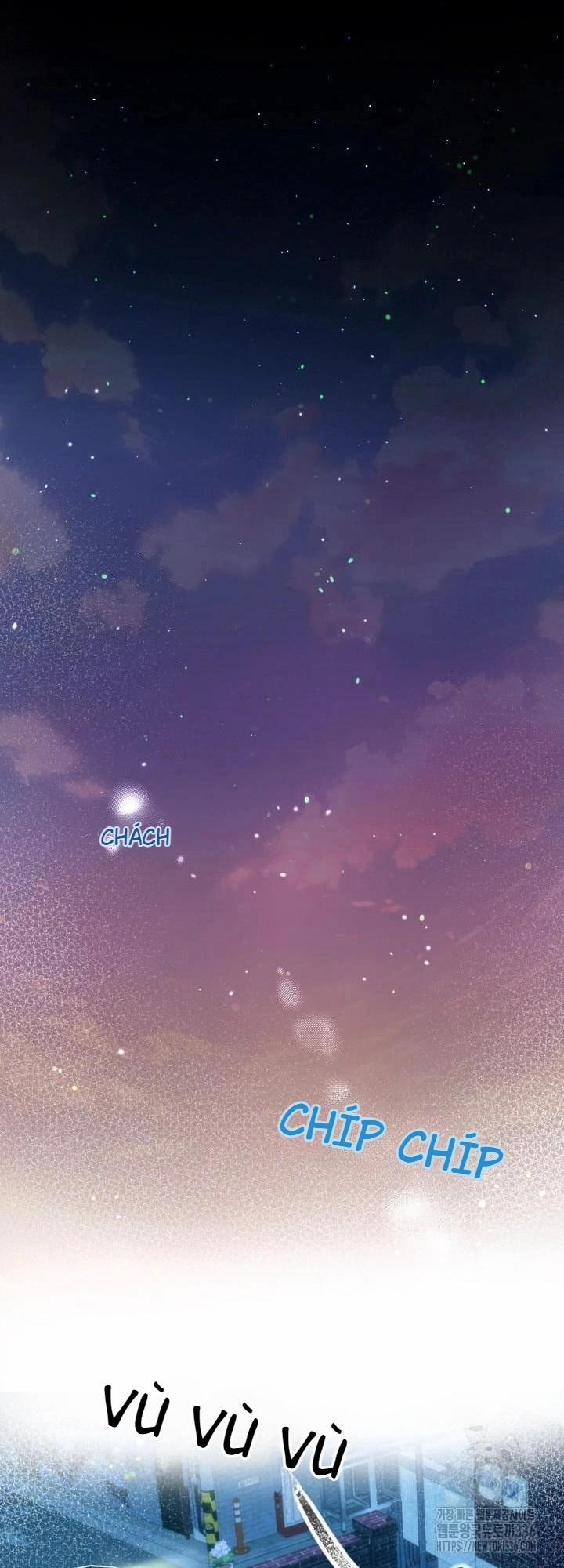 Báo Cáo Thu Thập Dữ Lệu Về Tuyến Tiền Liệt 3 trang 33