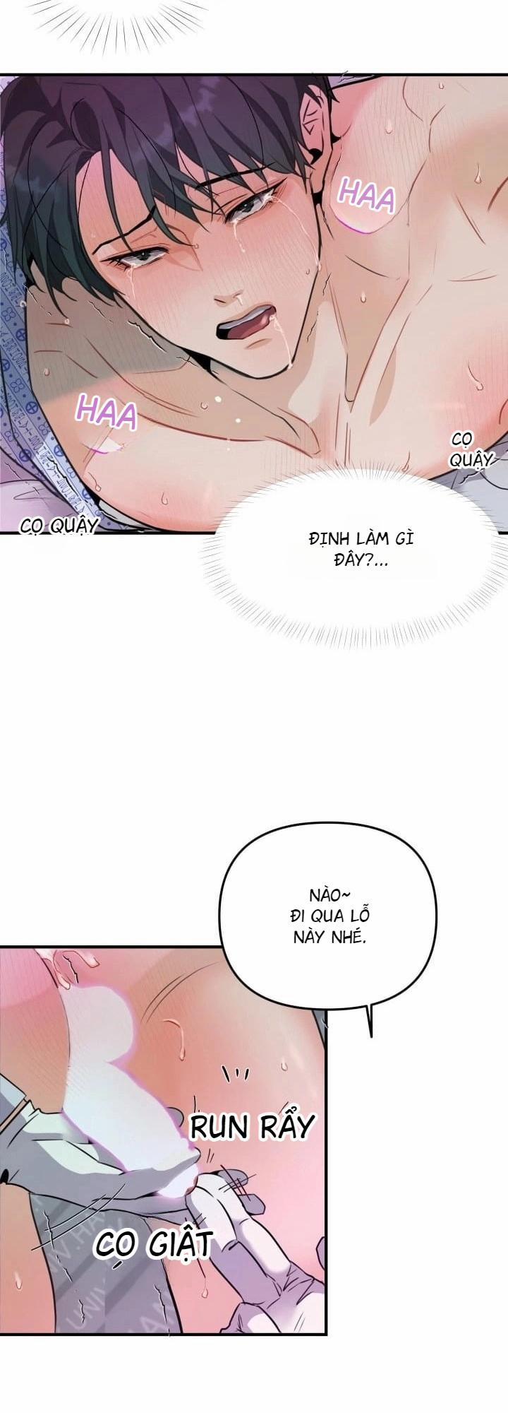 Báo Cáo Thu Thập Dữ Lệu Về Tuyến Tiền Liệt 3 trang 86