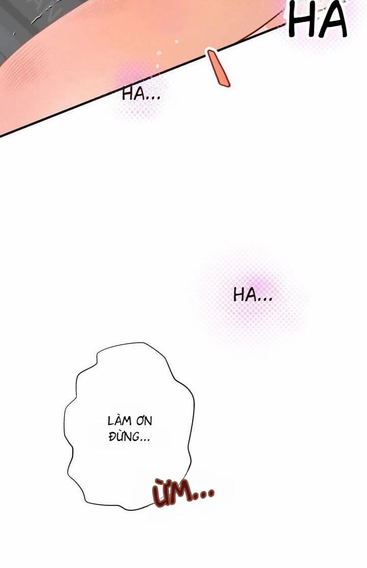 Báo Cáo Thu Thập Dữ Lệu Về Tuyến Tiền Liệt 4 trang 51