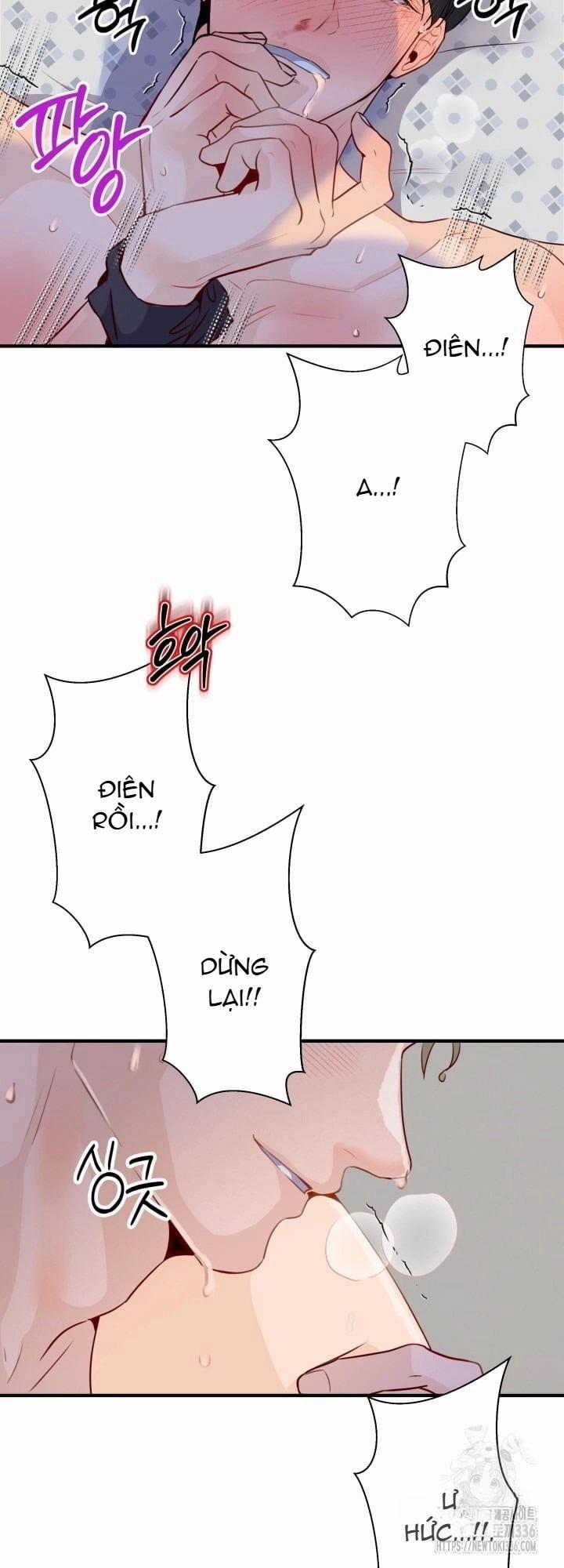 Báo Cáo Thu Thập Dữ Lệu Về Tuyến Tiền Liệt 5 trang 11