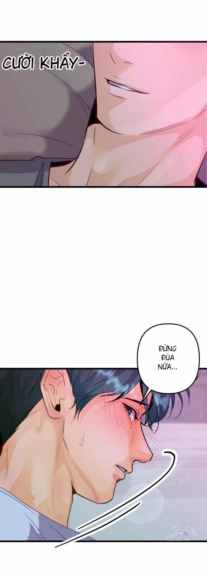 Báo Cáo Thu Thập Dữ Lệu Về Tuyến Tiền Liệt 6 trang 14