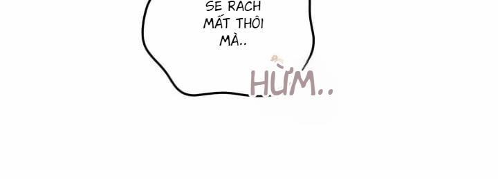 Báo Cáo Thu Thập Dữ Lệu Về Tuyến Tiền Liệt 6 trang 34