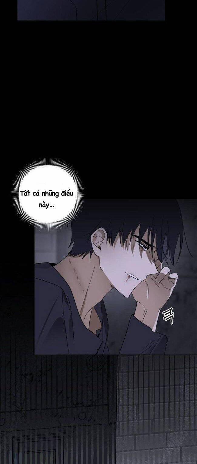 Bạo Chúa Thân Mến 5 trang 42