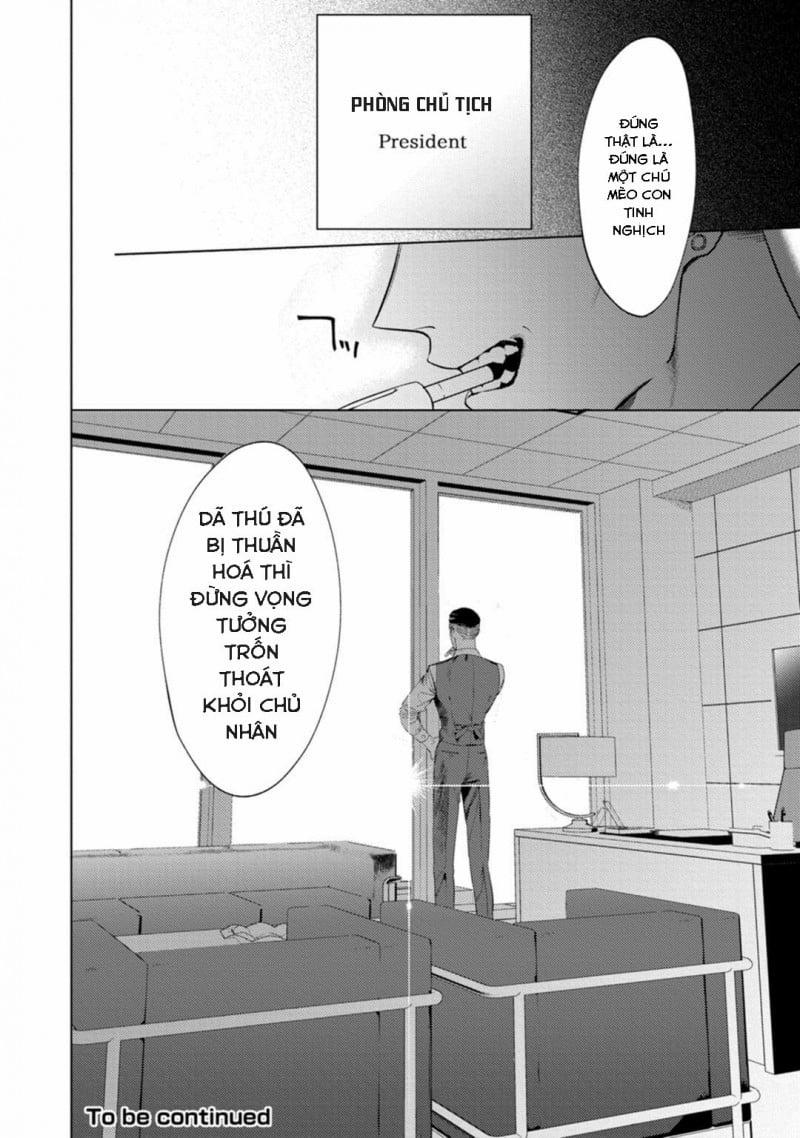 Báo Săn Nơi Công Sở 1 trang 36
