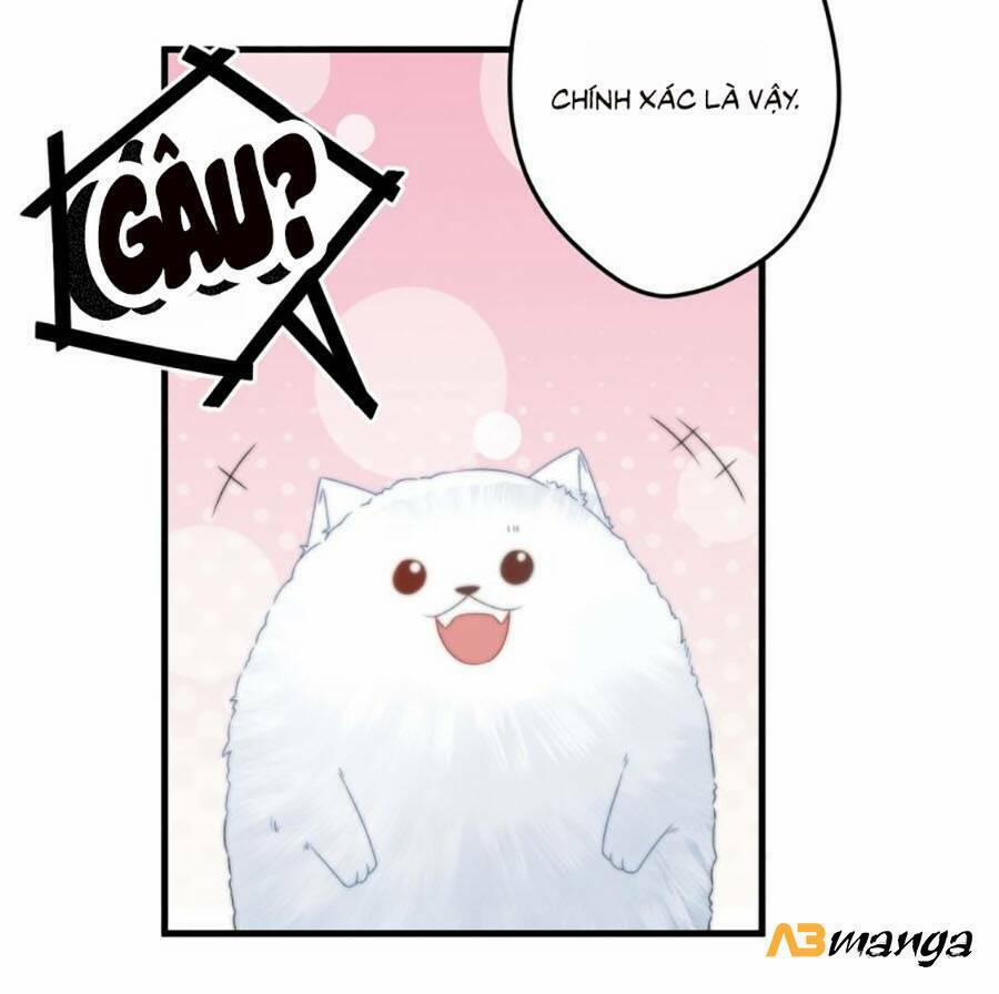 Bạo Sủng Tiểu Manh Phi 10 trang 8