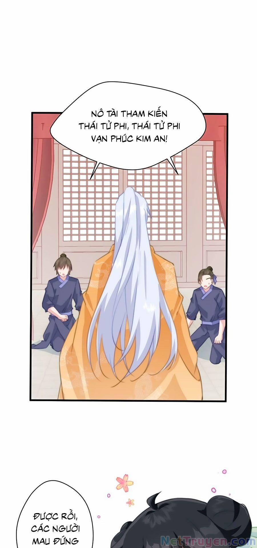Bạo Sủng Tiểu Manh Phi 18 trang 17