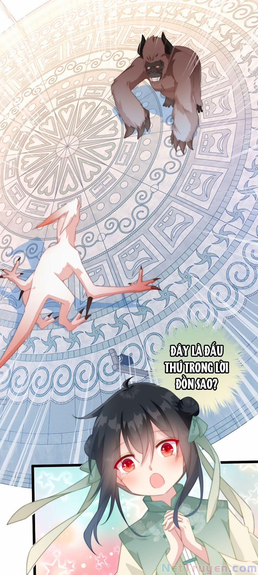 Bạo Sủng Tiểu Manh Phi 21 trang 14