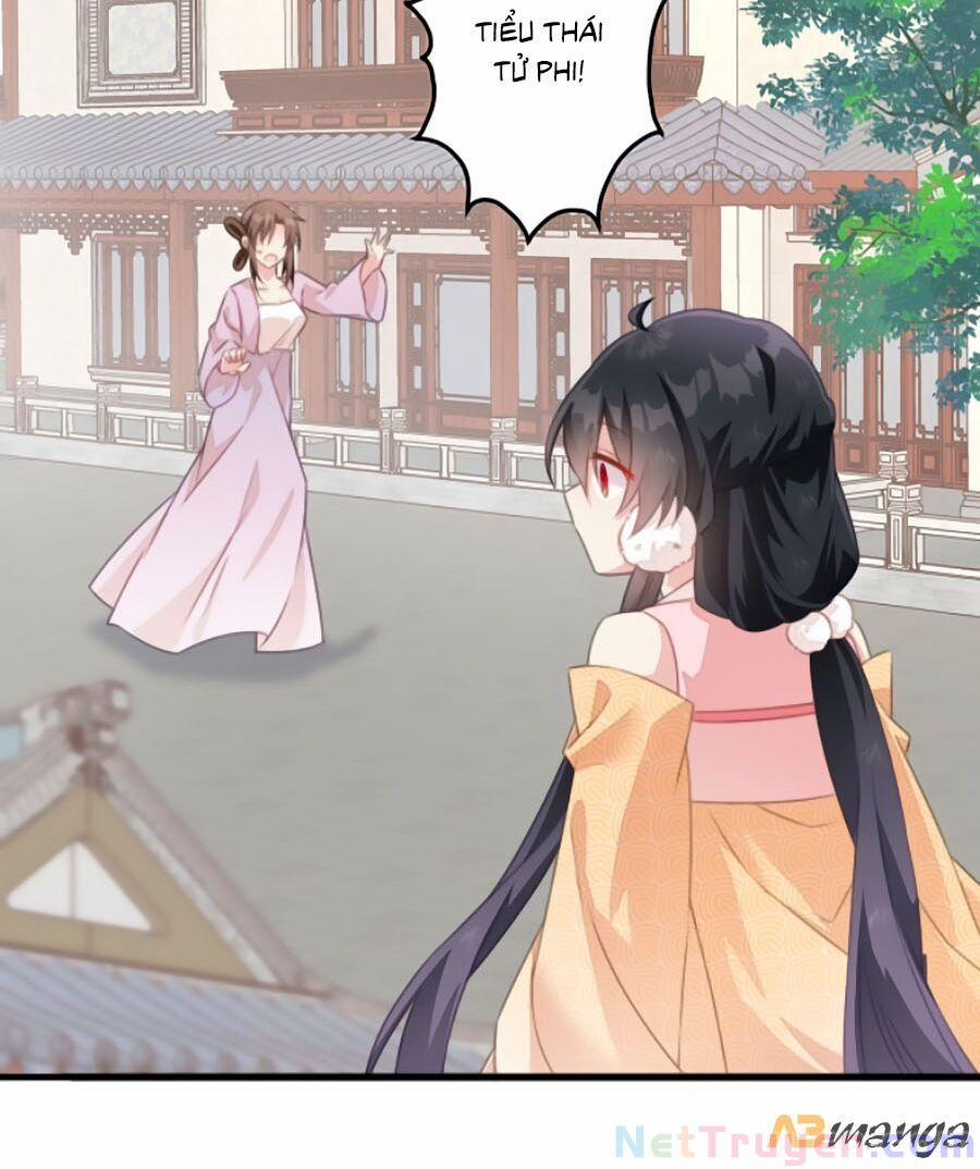 Bạo Sủng Tiểu Manh Phi 27 trang 21