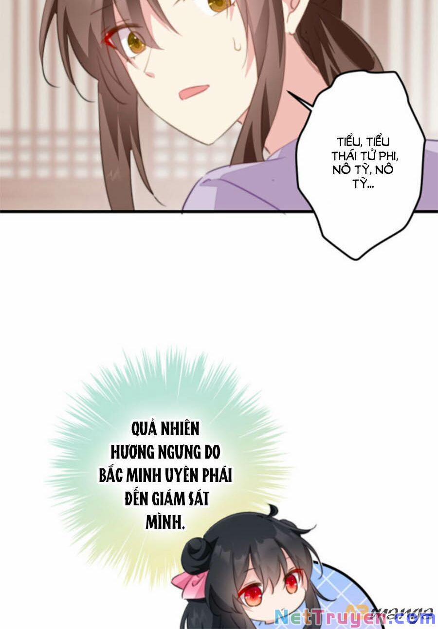 Bạo Sủng Tiểu Manh Phi 41 trang 18