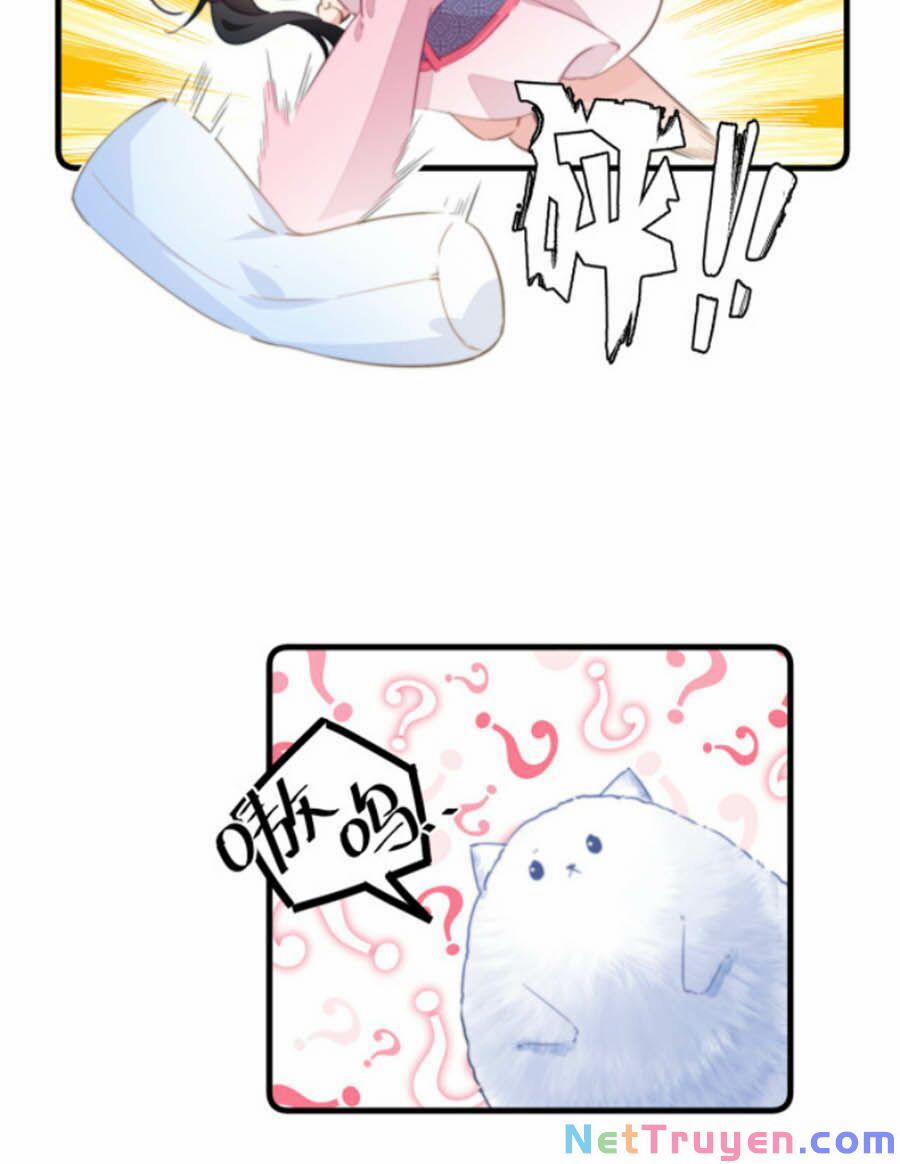 Bạo Sủng Tiểu Manh Phi 41 trang 8