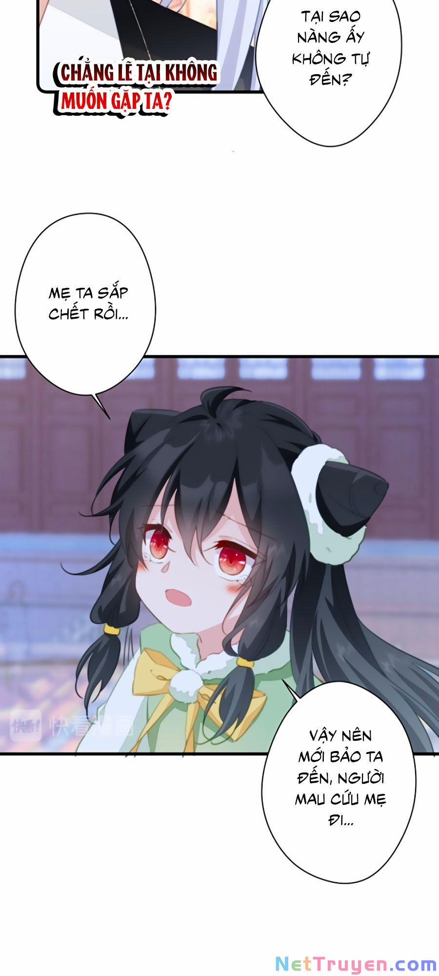 Bạo Sủng Tiểu Manh Phi 49 trang 17