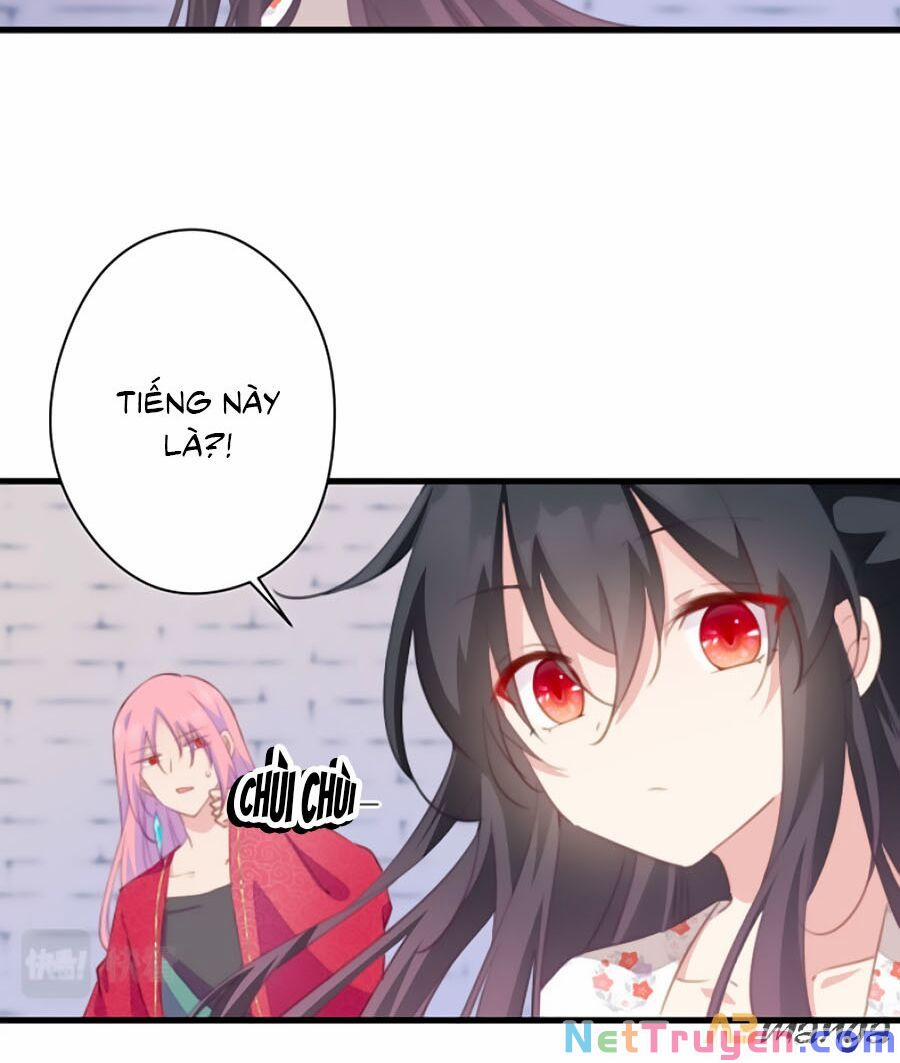 Bạo Sủng Tiểu Manh Phi 56 trang 5