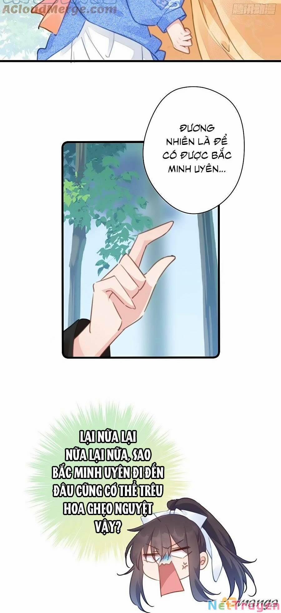 Bạo Sủng Tiểu Manh Phi 84 trang 16