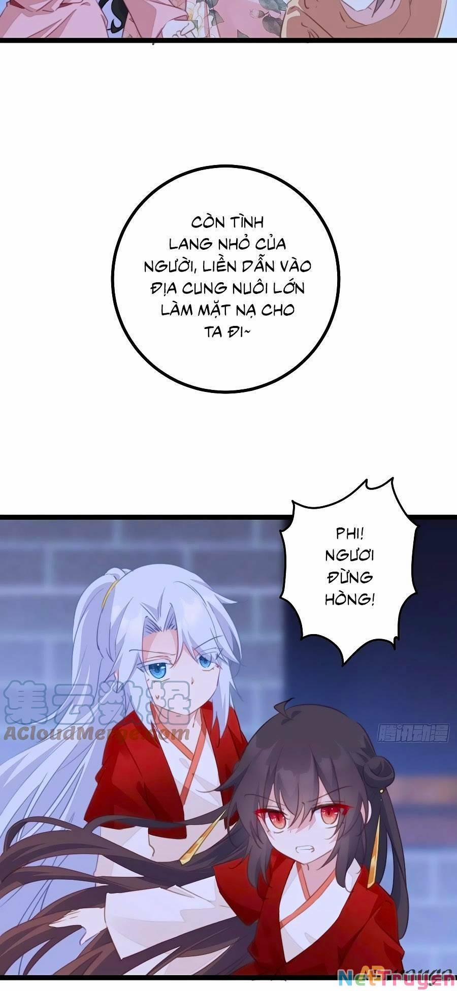 Bạo Sủng Tiểu Manh Phi 95 trang 11