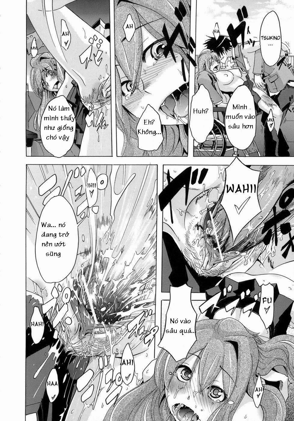 Barrier Free Oneshot trang 29