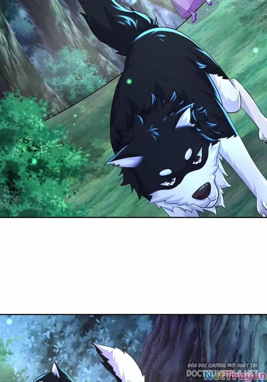 Bắt Đầu Có Được Bảy Vị Tuyệt Sắc Sư Tỷ 36 trang 21