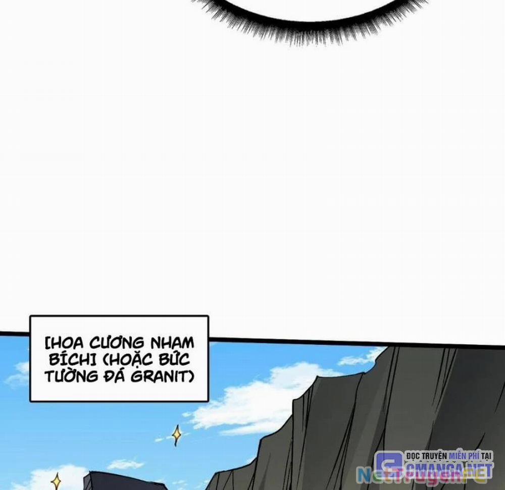 Bắt Đầu Kế Nhiệm Boss Hắc Long, Ta Vô Địch 23 trang 50