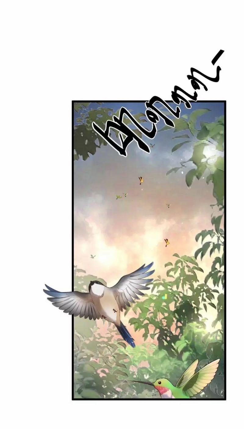 Bắt Đầu Thức Tỉnh Thôn Phệ Hệ Thống ! 1 trang 97