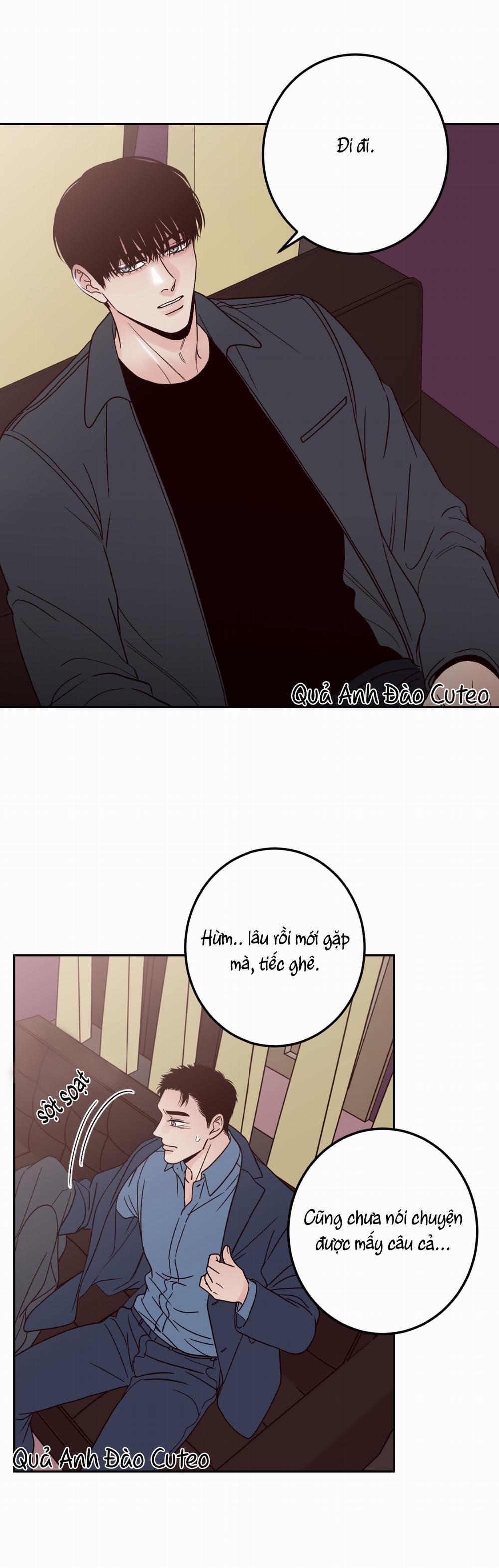 Bất Khả Kháng 11 trang 14