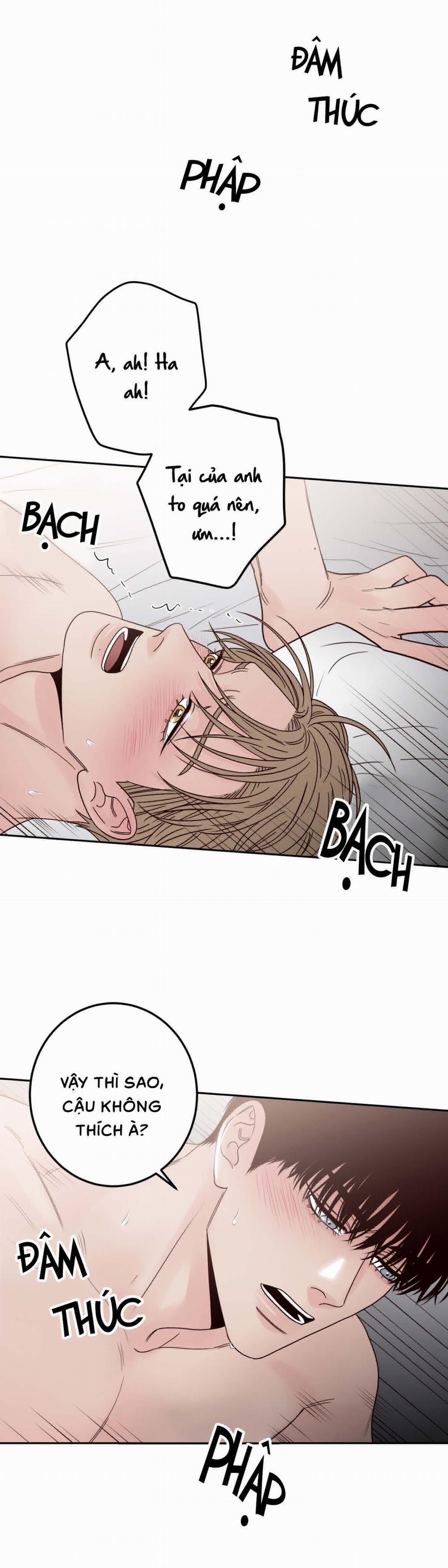 Bất Khả Kháng 13 trang 21