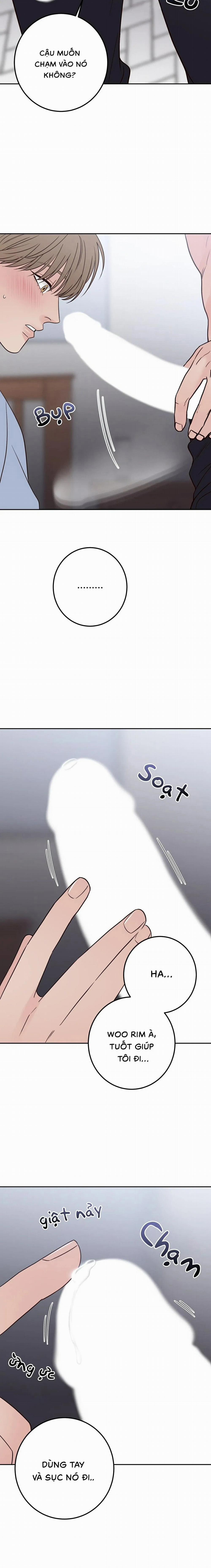 Bất Khả Kháng 52 trang 17