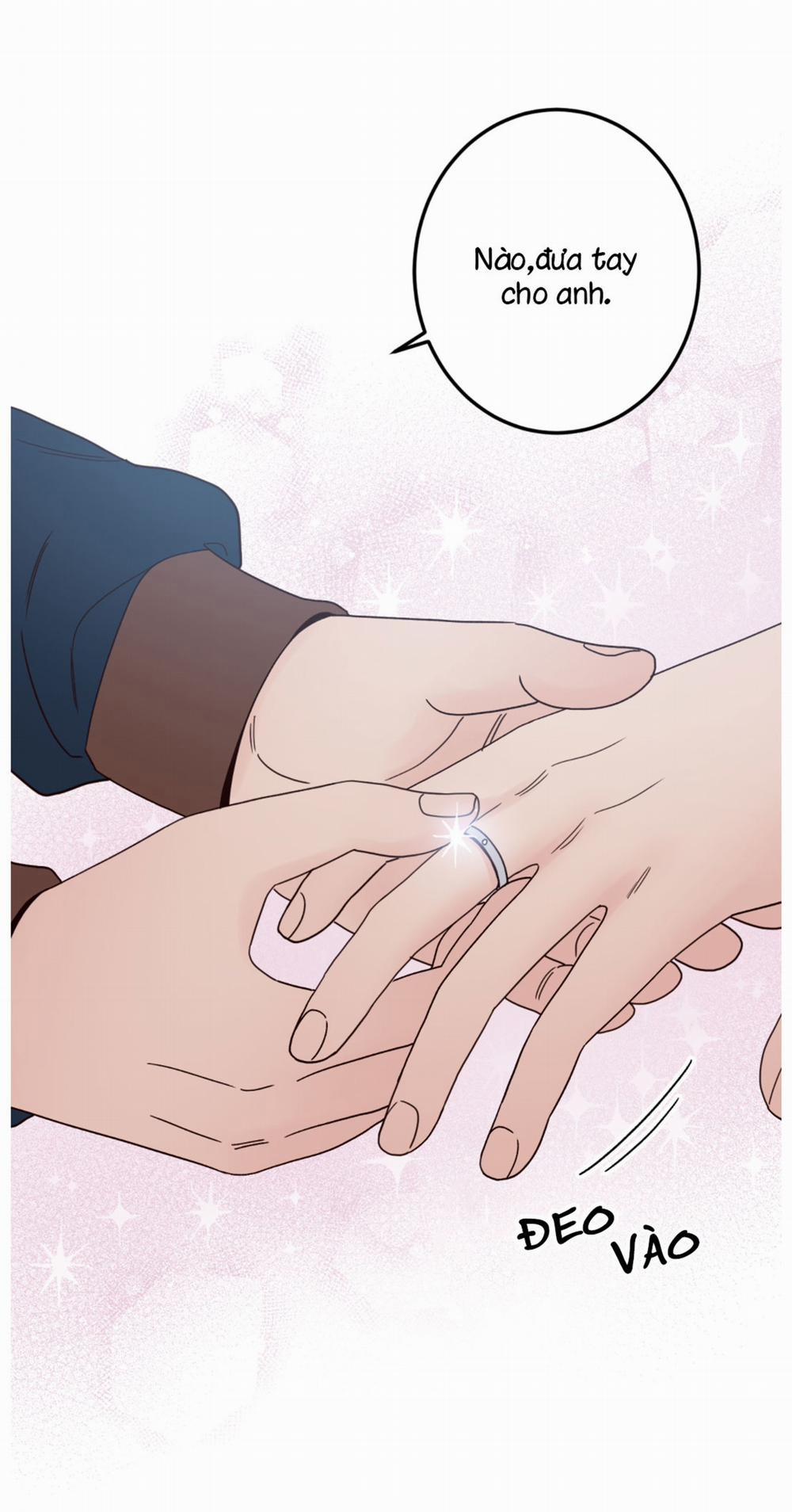 Bất Khả Kháng 6 trang 20