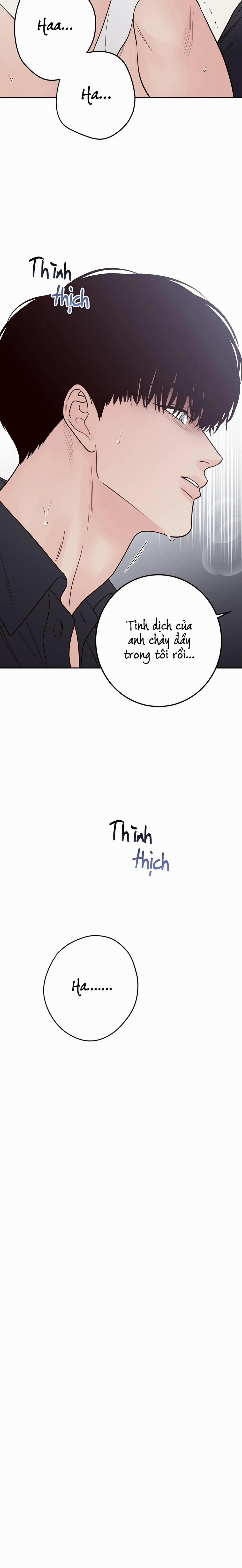 Bất Khả Kháng 61 trang 21