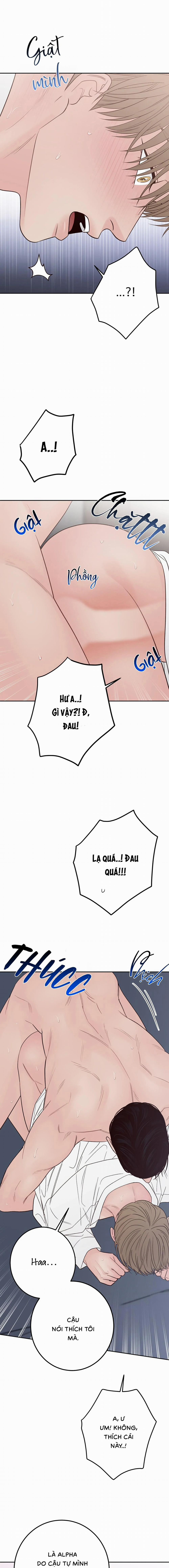 Bất Khả Kháng 66 trang 12