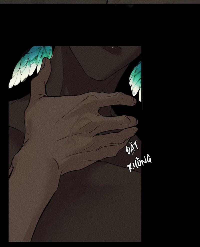 Bất Quy Tắc 8 trang 8