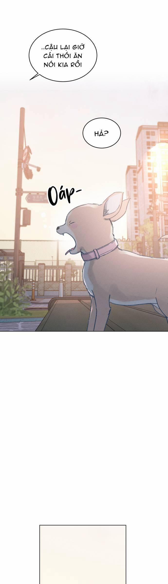 Bầu Trời Mùa Hạ Dấu Yêu 17 trang 28
