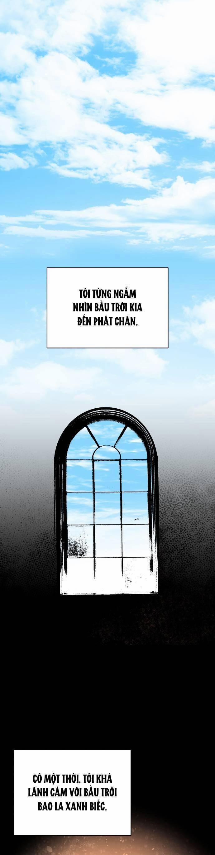 Bầu Trời Mùa Hạ Dấu Yêu 33 trang 1