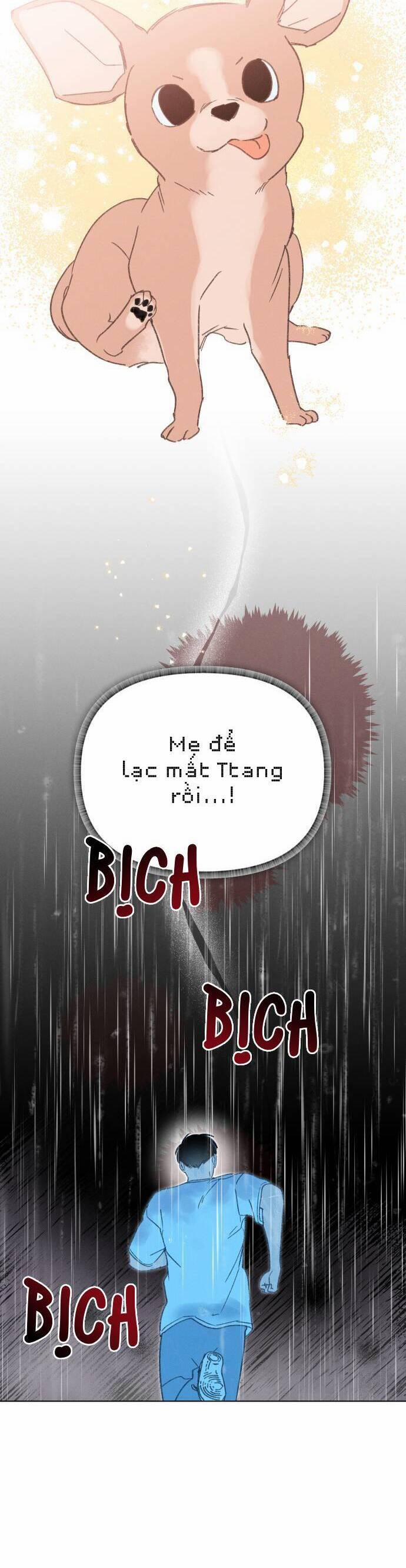 Bầu Trời Mùa Hạ Dấu Yêu 33 trang 36